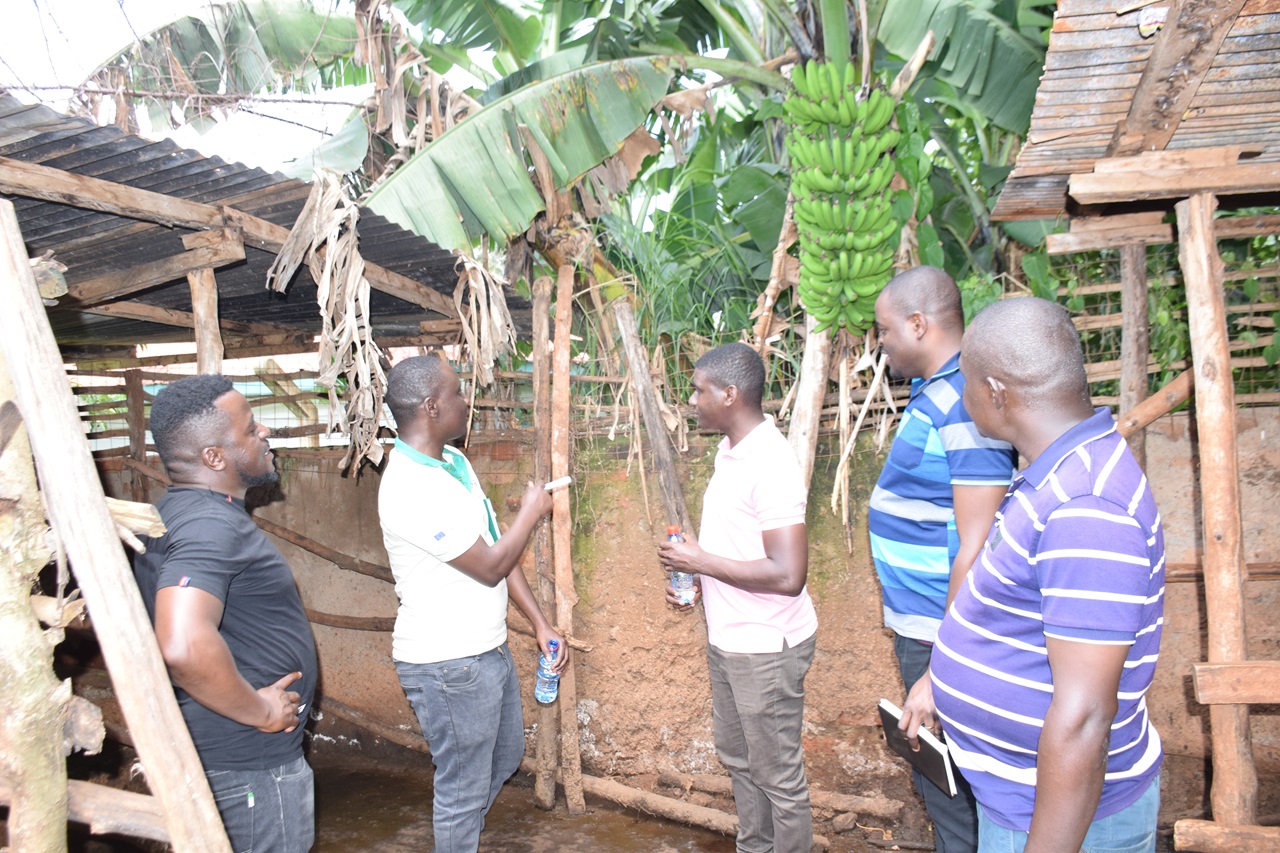 A Youth-led Dairy business flourishes in Busia County