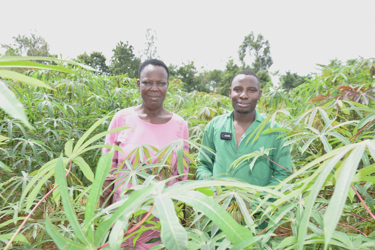Youth Employment through Last-Mile Delivery Strategies in Busia County  for Cassava Value Chain.